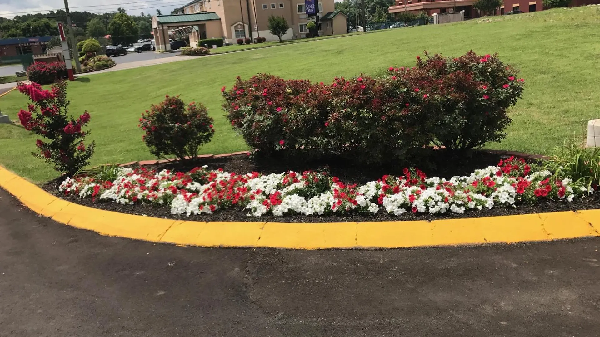 Lotus Inn And Suites Nashville